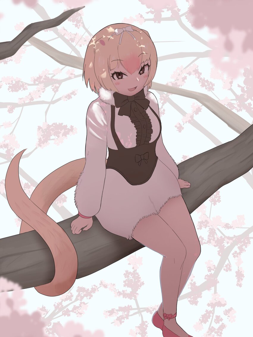 1girl absurdres anteater_ears anteater_tail black_bow black_bowtie black_corset black_frills black_suspenders blonde_hair blush bow bowtie brown_eyes center_frills corset frills fur_(clothing) fur_collar hair_between_eyes hair_bow harusan_adelie highres kemono_friends kemono_friends_3 long_sleeves looking_at_viewer multicolored_hair on_branch open_mouth pink_hair pink_shoes pink_trim shirt shoes shorts sidelocks silky_anteater_(kemono_friends) sitting smile solo white_bow white_fur white_shirt white_shorts