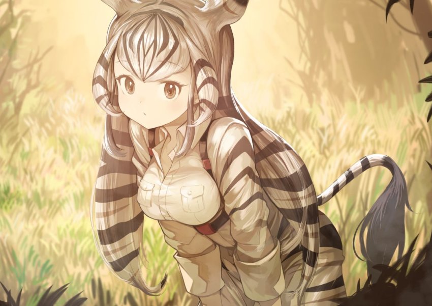 1girl animal_ears animal_print black_hair breast_pocket chapman&#039;s_zebra_(kemono_friends) collared_shirt commentary_request cowboy_shot extra_ears female_focus foliage grass hands_on_own_knees harness kemono_friends khakis koruse long_hair long_sleeves looking_at_viewer multicolored_hair pocket print_shirt print_shorts shirt short_hair shorts sidelocks sleeves_rolled_up solo very_long_hair white_hair zebra_ears zebra_print zebra_tail