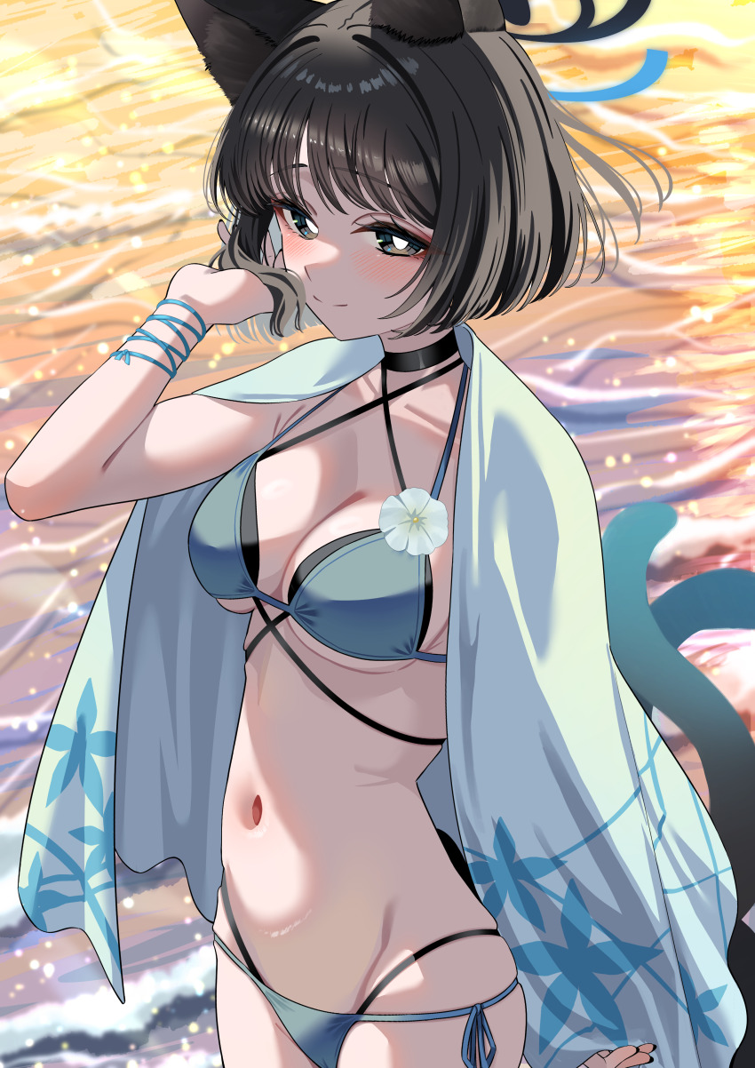 1girl absurdres animal_ears bikini black_eyes black_hair blue_archive blue_bikini blue_haori blush breasts cat_ears cat_girl cat_tail closed_mouth hand_in_own_hair haori highres ito_(ito577) japanese_clothes kikyou_(blue_archive) kikyou_(swimsuit)_(blue_archive) multiple_tails navel official_alternate_costume short_hair smile solo stomach swimsuit tail two_tails