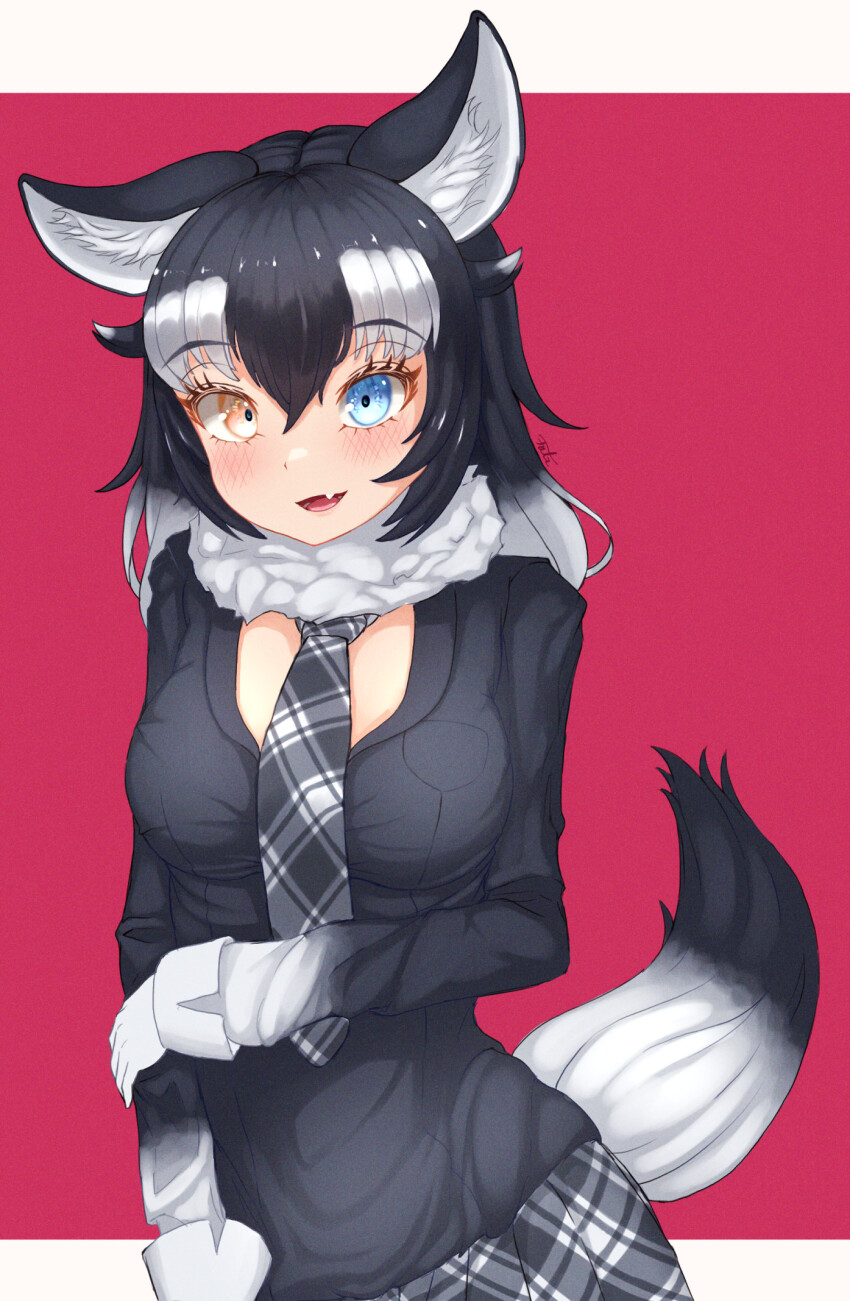 1girl animal_ears black_hair blue_eyes blush falr_illust fang fur_collar gloves grey_hair grey_jacket grey_necktie grey_skirt grey_wolf_(kemono_friends) heterochromia highres holding_own_arm jacket kemono_friends long_hair long_sleeves multicolored_hair necktie open_mouth pink_background plaid_clothes plaid_necktie plaid_skirt pleated_skirt sidelocks skirt solo tail white_fur white_gloves white_hair white_wrist_cuffs wolf_ears wolf_girl wolf_tail wrist_cuffs yellow_eyes