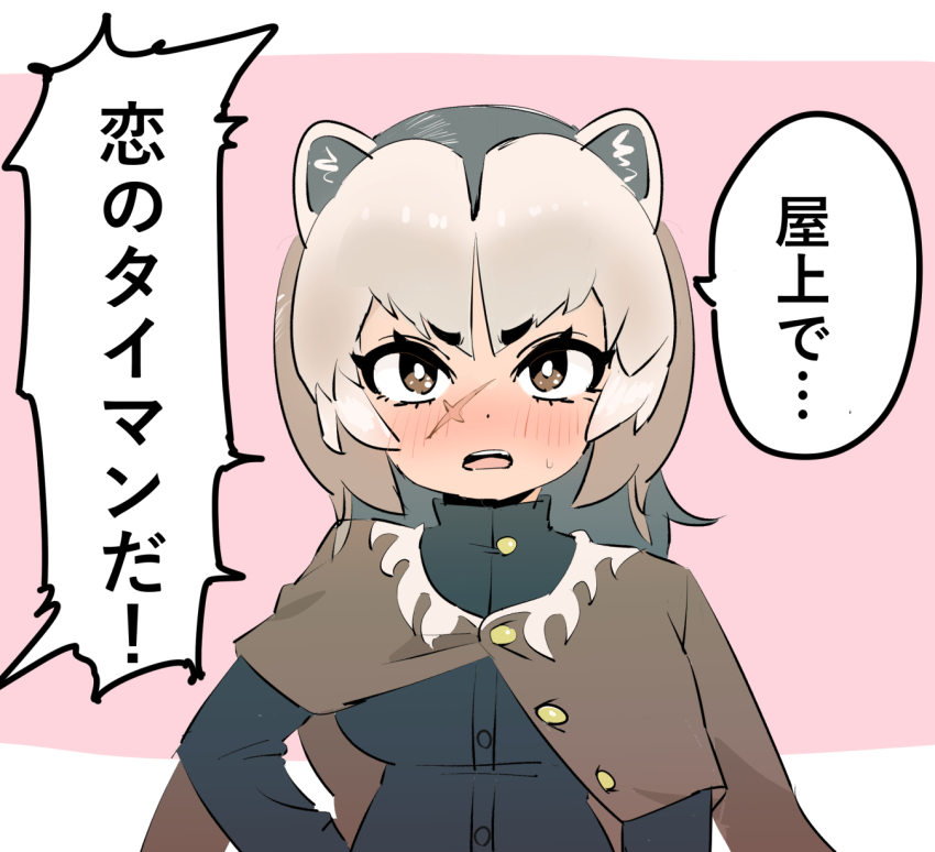 1girl animal_ears arm_at_side badger_ears black_hair blush brown_eyes brown_hair buttons eyelashes grey_hair hand_on_own_hip highres jacket jacket_on_shoulders kemono_friends long_hair long_sleeves multicolored_hair nose_blush open_mouth parted_bangs scar scar_on_face solo translation_request upper_body wagom wolverine_(kemono_friends)