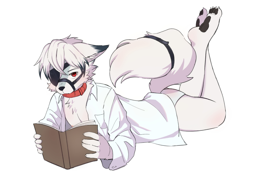 1boy aged_down animal_ears arnd_dawn barefoot book claws closed_mouth collar colored_tips commentary english_commentary eyepatch furry furry_male highres holding holding_book looking_at_viewer lying male_focus multicolored_hair on_stomach open_book open_clothes open_shirt pawpads red_eyes shirt tail tail_belt von_lycaon white_background white_shirt wolf_boy wolf_ears wolf_tail zenless_zone_zero