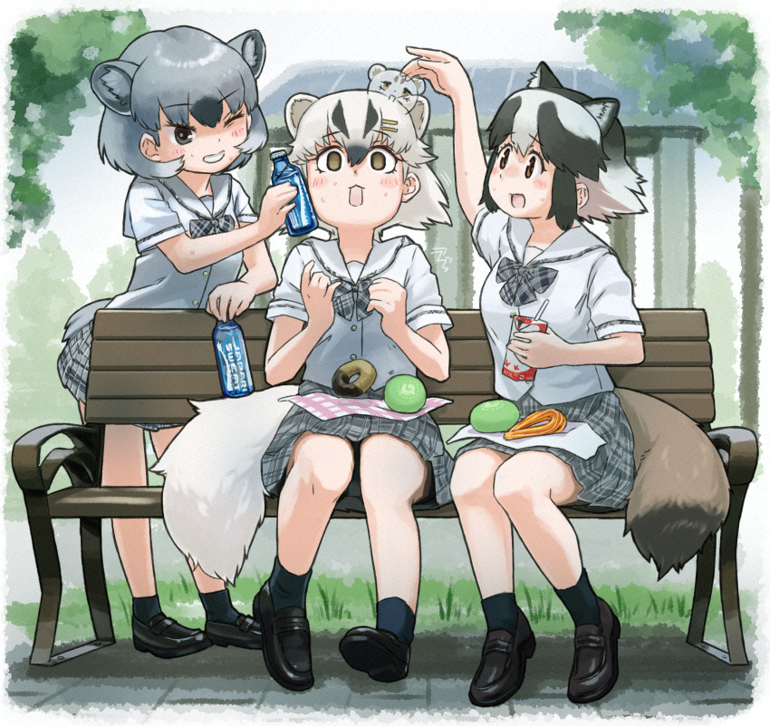 3girls absurdres alternate_costume animal_ears badger_ears badger_girl badger_tail bench black_hair black_socks bottle bow bowtie brown_footwear brown_hair donut extra_ears food grey_bow grey_bowtie grey_hair grey_skirt hair_between_eyes highres japanese_badger_(kemono_friends) juice_box kemono_friends loafers matching_outfits multicolored_hair multiple_girls one_eye_closed open_mouth plaid_bow plaid_bowtie plaid_clothes plaid_skirt pleated_skirt raccoon_ears raccoon_girl raccoon_tail rock_hyrax_(kemono_friends) sailor_collar school_uniform shirt shoes short_hair short_sleeves sidelocks sitting skirt smile socks t-shirt tail tanuki_(kemono_friends) toriny two-tone_hair white_hair white_shirt