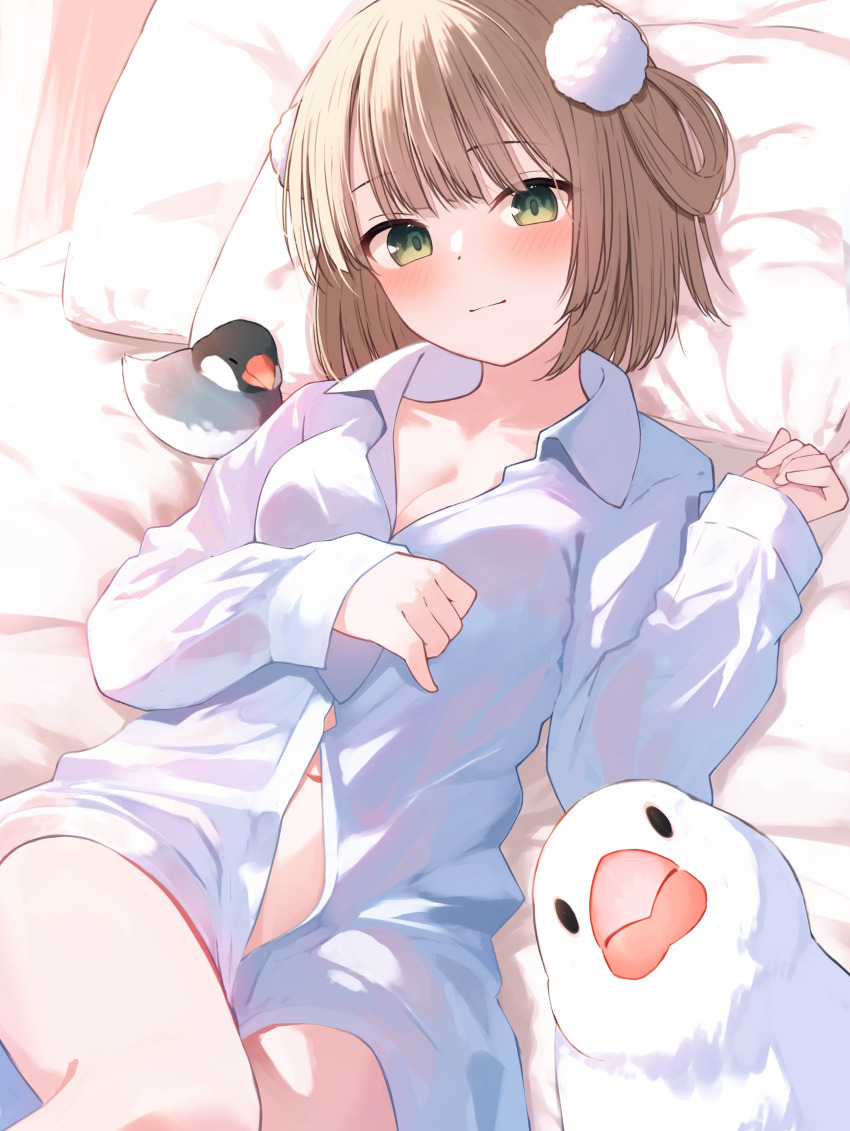 1girl absurdres animal bed_sheet bird blush breasts brown_hair cleavage closed_mouth collared_shirt commentary_request dress_shirt feet_out_of_frame green_eyes hair_rings hand_up highres indie_virtual_youtuber java_sparrow long_sleeves looking_at_viewer medium_breasts memekko navel pillow shigure_ui_(vtuber) shirt sleeves_past_wrists smile solo virtual_youtuber white_shirt
