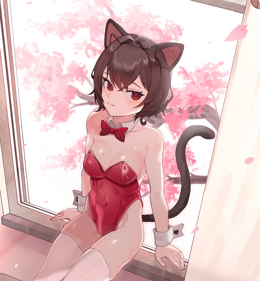 1girl absurdres animal_ear_hairband animal_ears arm_support bare_arms bare_shoulders black_hairband black_tail bow bowtie breasts brown_hair cat_ear_hairband cat_ears cat_tail cherry_blossoms collar commission covered_navel cropped detached_collar fake_animal_ears falling_leaves feet_out_of_frame hairband highleg highleg_leotard highres indoors kittysuit leaf leotard looking_at_viewer medium_breasts mole mole_on_breast mole_under_eye nontraditional_playboy_bunny original playboy_bunny prunechi red_bow red_bowtie red_eyes red_leotard shimiya_jin short_hair sitting sitting_in_window skin_tight skindentation solo strapless strapless_leotard sunlight tail thighhighs white_collar white_thighhighs wing_collar wrist_cuffs