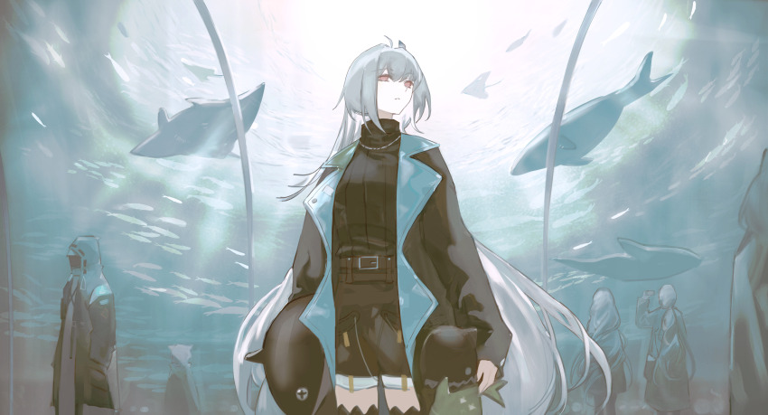 1other 3girls absurdres ahoge ambiguous_gender aquarium arknights belt black_coat black_jacket black_shorts black_sweater cellphone cloak coat cowboy_shot day doctor_(arknights) fish gladiia_(arknights) hair_intakes highres holding holding_phone holding_stuffed_toy hood hood_up hooded_cloak hooded_coat hooded_jacket indoors jacket jewelry long_hair multiple_girls necklace open_clothes open_jacket parted_lips phone ponytail red_eyes shorts skadi_(arknights) skadi_(the_next_afternoon_tea)_(arknights) smartphone specter_(arknights) standing stingray stuffed_animal stuffed_orca stuffed_shark stuffed_toy sweater taking_picture thighhighs turtleneck underwater very_long_hair whale white_hair yuishironeko zettai_ryouiki