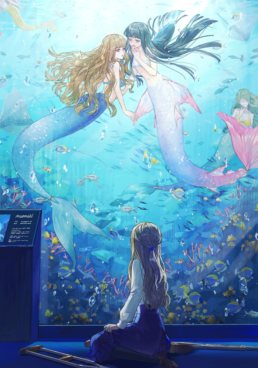 4girls absurdres aquarium bikini black_hair blonde_hair blue_eyes blue_skirt breasts brown_hair bubble commentary_request coral_reef crutch fins fish green_hair highres kneeless_mermaid kotobuki_nashiko loafers long_hair long_skirt looking_at_another manta_ray medium_breasts mermaid monster_girl multiple_girls navel on_floor original purple_eyes shirt shoes sign sitting skirt small_breasts swimsuit underwater wariza wavy_hair whispering white_shirt yellow_bikini