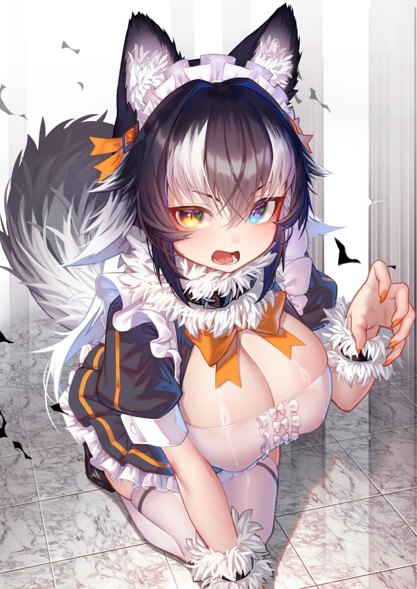 1girl akuma_(st.takuma) alternate_costume animal_ears black_dress black_hair blue_eyes blush bow breasts center_frills claw_pose cleavage dress enmaided frilled_dress frills fur_collar grey_wolf_(kemono_friends) heterochromia highres kemono_friends kneeling large_breasts long_hair looking_at_viewer maid maid_headdress multicolored_hair orange_bow puffy_short_sleeves puffy_sleeves short_sleeves solo tail two-tone_hair white_hair wolf_ears wolf_girl wolf_tail wrist_cuffs yellow_eyes