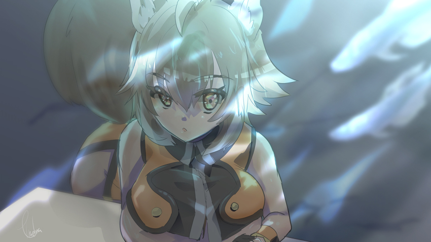 1girl animal_ears bare_shoulders blazblue breasts brown_eyes brown_hair highres large_breasts light_rays looking_at_viewer makoto_nanaya microskirt short_hair skirt sleeveless squirrel_ears squirrel_tail table tail underboob zone_rr