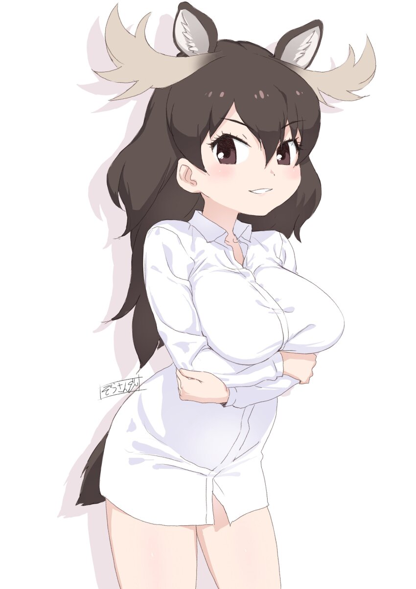 1girl absurdres alternate_costume animal_ears antlers bare_legs blush breasts brown_eyes brown_hair collared_shirt cowboy_shot extra_ears hair_between_eyes highres horns kemono_friends long_hair long_shirt long_sleeves looking_at_viewer masuyama_ryou moose_(kemono_friends) moose_antlers moose_ears moose_girl moose_tail self_hug shirt sidelocks solo t-shirt tail white_shirt