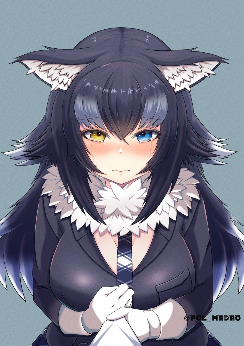 1girl animal_ear_fluff animal_ears black_hair blue_eyes blush coat ears_down fang fang_out from_above fur_collar gloves grey_coat grey_hair grey_necktie grey_wolf_(kemono_friends) hair_between_eyes heterochromia highres kemono_friends long_hair long_sleeves looking_at_viewer looking_up multicolored_hair necktie plaid_clothes plaid_necktie poru_(tohopunk) shirt_tug sidelocks solo tearing_up upper_body white_fur white_gloves white_hair wolf_ears wolf_girl yellow_eyes