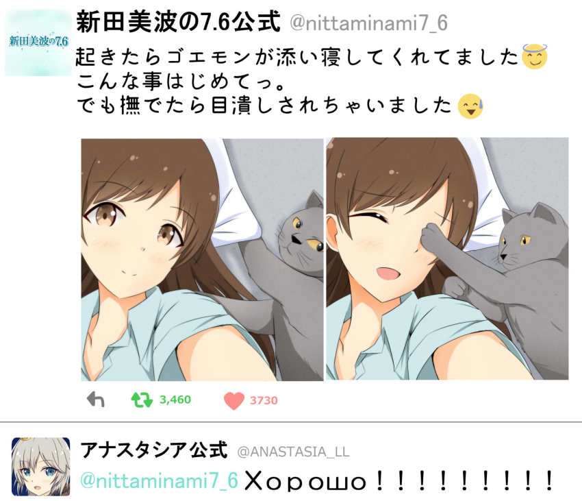 2girls anastasia_(idolmaster) bad_id bad_pixiv_id blue_eyes brown_eyes brown_hair cat closed_eyes fake_screenshot highres horosho idolmaster idolmaster_cinderella_girls kochiya_hizuki long_hair multiple_girls nitta_minami parody russian_text short_hair silver_hair smile suzaki_aya translation_request twitter voice_actor_connection