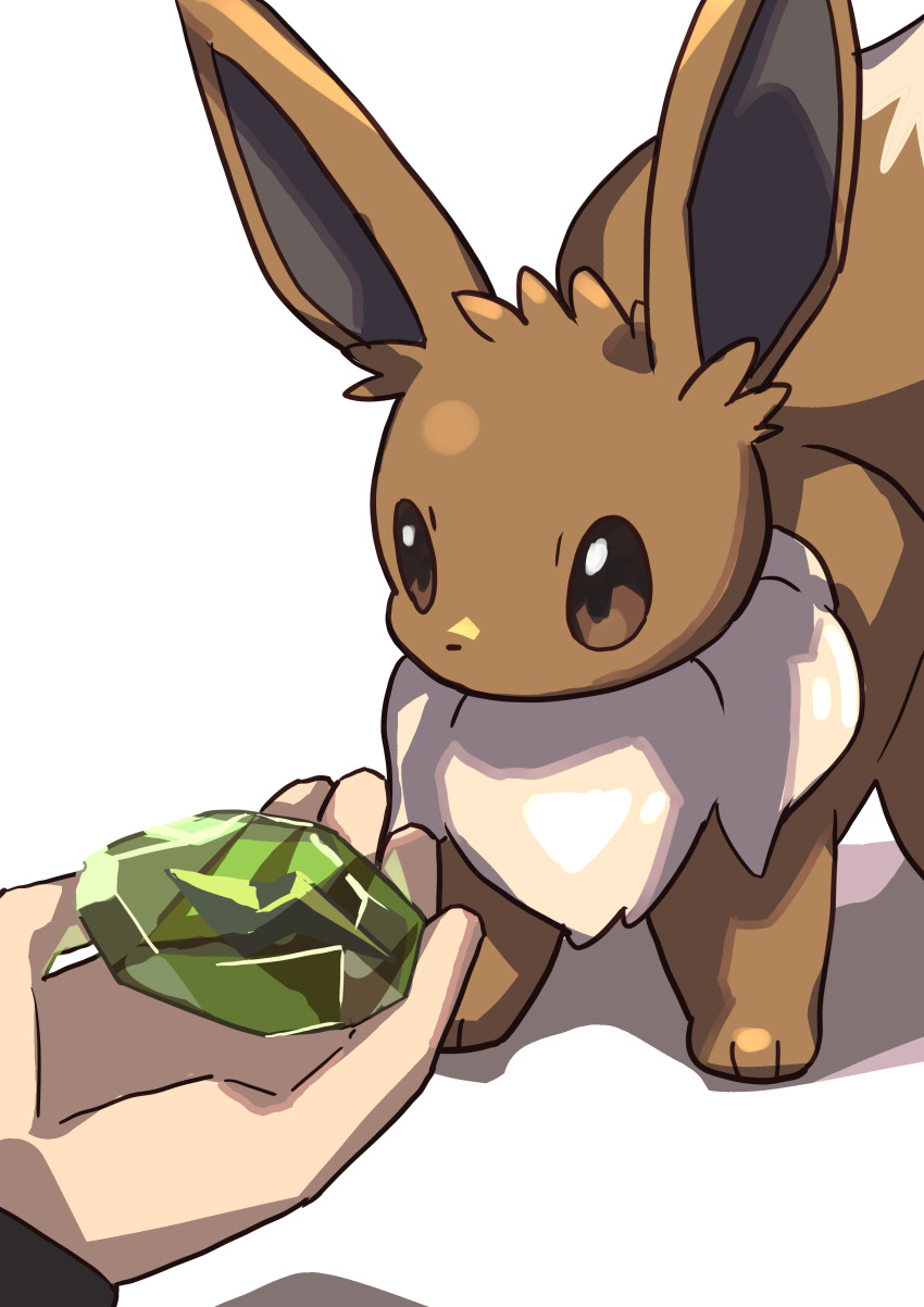 1other absurdres black_shirt brown_eyes brown_fur commentary eevee evolution_stone evolutionary_stone game_freak gen_1_pokemon highres holding long_sleeves nintendo pokefia pokemon pokemon_(creature) shirt standing staring thunder_stone white_background