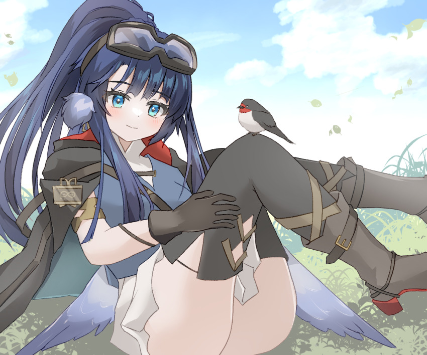animal animal_ears arknights ass astgenne_(arknights) bird bird_ears bird_tail black_gloves black_thighhighs blue_eyes blue_hair blush boots buckle commentary_request gloves goggles goggles_on_head high_heel_boots high_heels knees_up long_hair looking_at_viewer outdoors ponytail rhine_lab_logo smile tail thighhighs tififox