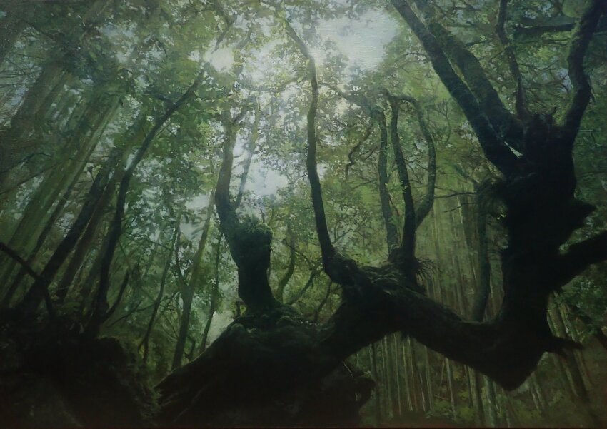 commentary_request forest from_below highres naohiro_ito nature no_humans oil_painting_(medium) original painting_(medium) scenery sky traditional_media tree