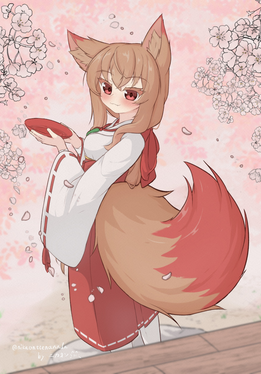 1girl absurdres animal_ears blush brown_hair cherry_blossoms closed_mouth cup fox_ears fox_girl fox_tail hakama hakama_skirt highres holding holding_cup japanese_clothes long_hair long_sleeves looking_at_viewer miko nikaon original red_eyes red_hakama red_skirt ribbon-trimmed_skirt ribbon-trimmed_sleeves ribbon_trim sakazuki shirt skirt smile solo standing tail white_shirt wide_sleeves