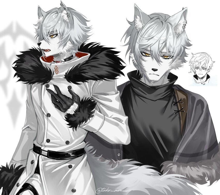 1boy absurdres animal_ears black_gloves black_shirt closed_mouth commentary_request ear_piercing fate/grand_order fate_(series) fur-trimmed_jacket fur_trim furrification furry furry_male gloves highres jacket kadoc_zemlupus looking_at_viewer looking_to_the_side male_focus multiple_views muneomon_(takomon) open_mouth piercing shirt white_background white_fur white_hair white_jacket wolf_boy wolf_ears yellow_eyes