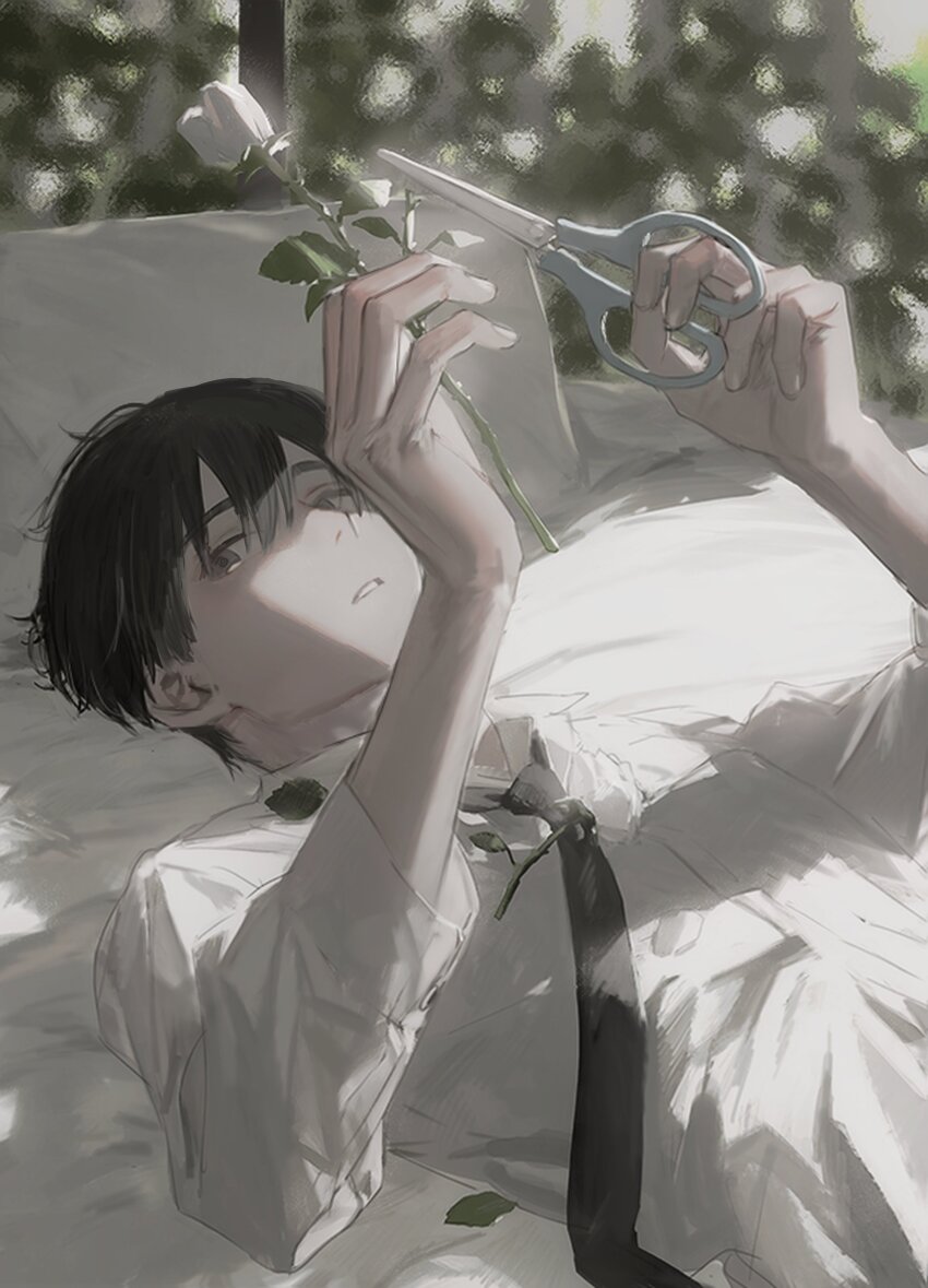 1boy absurdres bed_sheet black_hair black_necktie collared_shirt double-parted_bangs dutch_angle flower grey_eyes hands_up highres hirota_tsuu holding holding_flower holding_scissors leaf lying male_focus necktie on_back original parted_lips pillow rose scissors shirt short_hair sideways_glance solo sunlight upper_body white_flower white_rose white_shirt