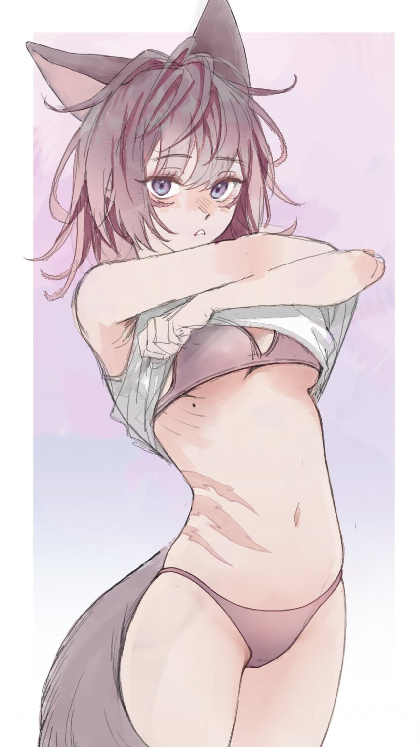 1girl absurdres animal_ears body_markings border bra clothes_lift commentary_request cowboy_shot gradient_background grey_bra grey_hair grey_panties highres kkachi_(limkkachi) korean_commentary lifting_own_clothes looking_at_viewer medium_hair messy_hair mole mole_under_breast muted_color navel no_pants original panties parted_lips purple_eyes shirt shirt_lift sketch solo standing stomach tail underwear undressing variant_set white_border white_shirt
