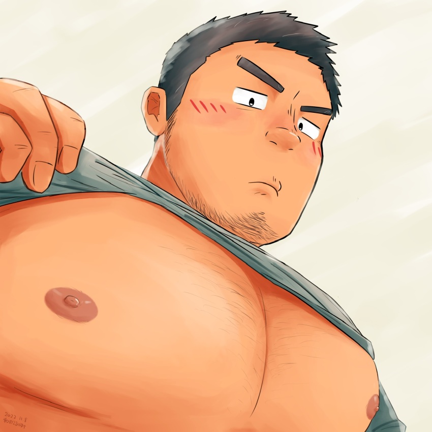 1boy bara bare_pectorals facial_hair from_below goatee_stubble highres large_pectorals lifting_own_clothes light_blush looking_at_viewer male_focus muscular muscular_male nipples original pectoral_focus pectorals sanpaku short_hair sideburns_stubble solo sparse_chest_hair stubble thick_eyebrows upper_body wada_terunosuke