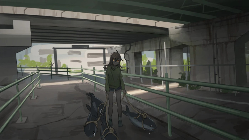 1girl ahoge bad_id bad_misskey.io_id black_hair bridge crying dark-skinned_female dark_skin expressionless fish green_hoodie hair_between_eyes hood hood_down hoodie jitome looking_at_viewer original pet_walking railing rope scenery short_shorts shorts socks solo standing surreal tears tensen_(dotted_line) under_bridge webp-to-png_conversion wide_shot yellow_eyes
