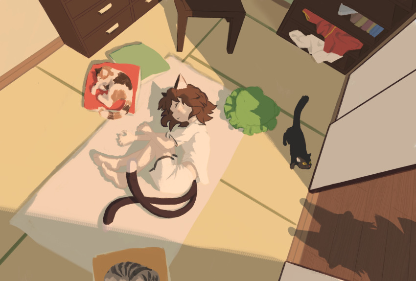 1girl :&lt; animal animal_ears barefoot black_cat brown_hair cat cat_ears cat_girl cat_tail chair chen chest_of_drawers closed_eyes closed_mouth curled_up from_above futon hat highres indoors looking_at_another messy_hair mob_cap multiple_tails out_of_frame pillow shadow shirt short_hair short_sleeves shorts shouji sleeping sliding_doors sliyu solo tabby_cat tail tatami touhou two_tails unworn_clothes white_shirt white_shorts yakumo_ran