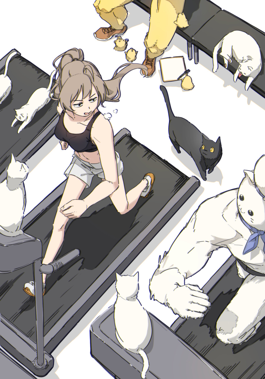 1girl 2boys azur_lane baby_animal bird black_tank_top breasts brown_hair cat chick hatski.sin highres jean_bart_(azur_lane) long_hair meowfficer_(azur_lane) midriff multiple_boys navel pants ponytail running shoes shorts sports_bra tank_top white_cat