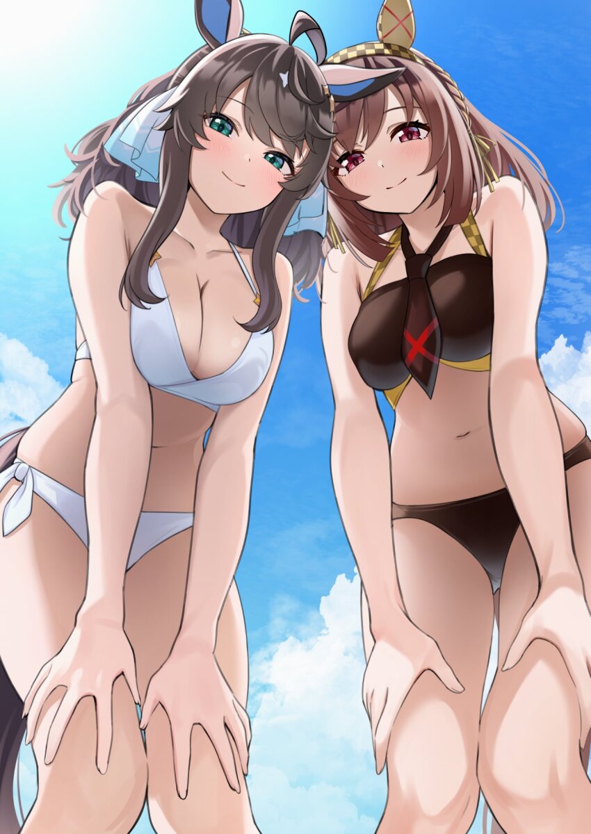 ahoge alternate_costume animal_ears bend bikini black_hair blue_eyes blush breasts brown_hair buena_vista_(umamusume) cleavage closed_mouth collarbone commentary_request daring_tact_(umamusume) herohero_(higashi_no_dou) highres long_hair medium_breasts pov sky smile swimsuit umamusume