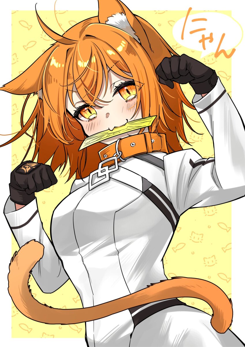 1girl ahoge animal_ears black_gloves blush breasts cat_ears cat_girl cat_tail collar commentary_request fate/grand_order fate_(series) fujimaru_ritsuka_(female) fujimaru_ritsuka_(female)_(decisive_battle_chaldea_uniform) gloves hair_between_eyes highres ichino_tomizuki long_sleeves medium_hair orange_eyes orange_hair paw_pose slit_pupils small_breasts solo tail