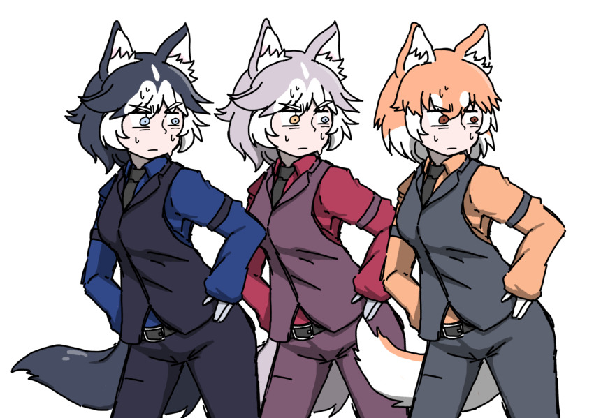 3girls alternate_costume animal_ears armband belt black_hair black_necktie black_pants black_vest blue_eyes brown_eyes cerberus_(helltaker) cerberus_(helltaker)_(cosplay) collared_shirt constricted_pupils cosplay dog_(mixed_breed)_(kemono_friends) dog_(shiba_inu)_(kemono_friends) dog_ears dog_girl dog_tail grey_hair grey_pants grey_vest hair_between_eyes hands_on_own_hips helltaker kemono_friends kemono_friends_3 km9kcaxsbjnmmyw legs_apart long_sleeves looking_to_the_side medium_hair multicolored_hair multiple_girls necktie nervous nervous_sweating orange_hair orange_shirt pants parody purple_pants purple_vest shirt siberian_husky_(kemono_friends) simple_background standing sweat tail two-tone_hair vest white_hair wing_collar yellow_eyes