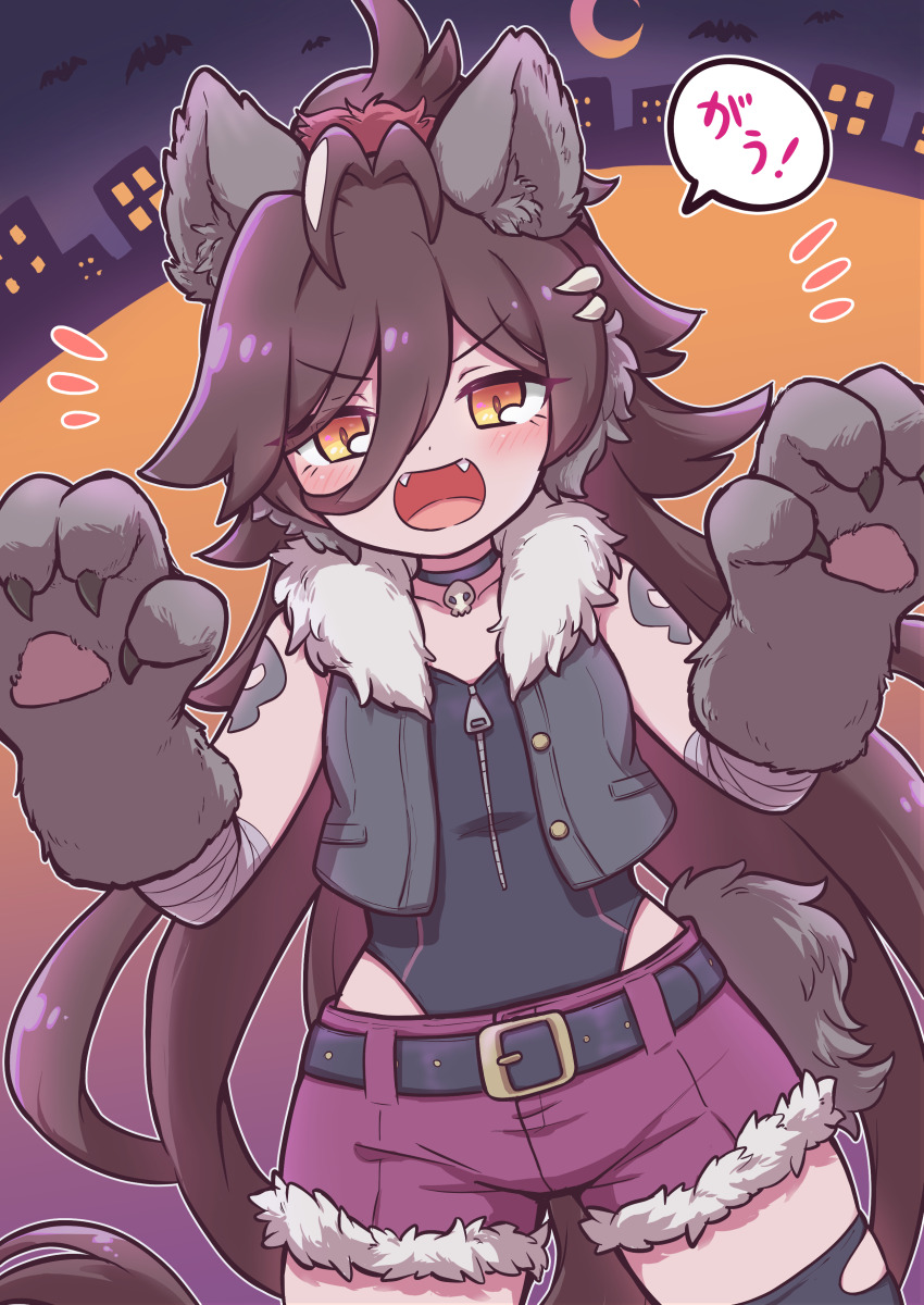 1girl absurdres alternate_animal_ears animal_ears animal_hands antenna_hair bat_(animal) belt black_belt black_choker black_leotard black_thighhighs blush breasts brown_hair choker claw_pose coat commentary_request fur-trimmed_coat fur-trimmed_shorts fur_trim gradient_background halloween highres leotard long_hair minmin_(kemomofuri) no_reason_(umamusume) notice_lines open_mouth ponytail red_skirt shorts skirt small_breasts solo speech_bubble tail thighhighs torn_clothes torn_thighhighs translation_request umamusume v-shaped_eyebrows very_long_hair vest wolf_ears wolf_tail yellow_eyes