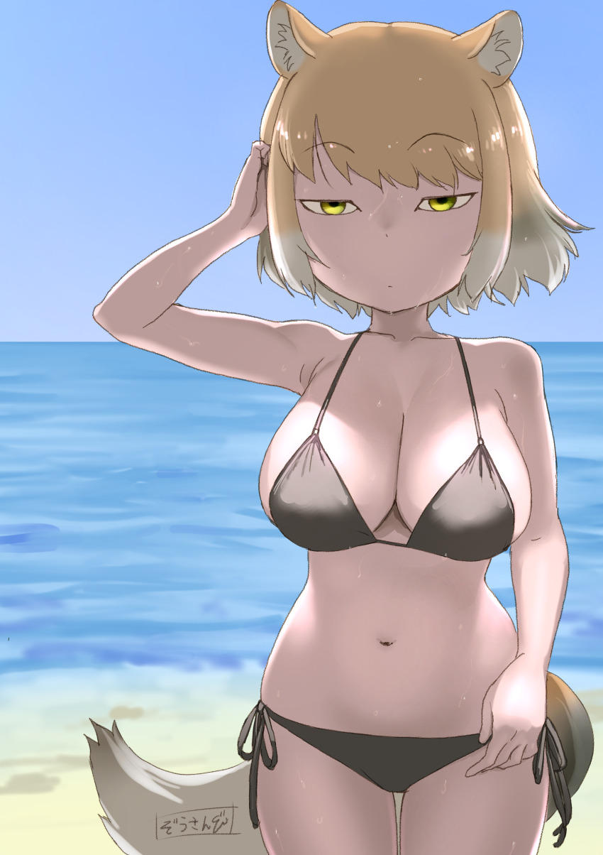 1girl absurdres animal_ear_fluff animal_ears bare_arms bare_shoulders beach bikini black_bikini blonde_hair breasts cleavage closed_mouth collarbone commentary cowboy_shot day dot_mouth fox_ears fox_girl fox_tail gradient_hair grey_hair highres kemono_friends large_breasts looking_at_viewer masuyama_ryou multicolored_hair navel outdoors sanpaku side-tie_bikini_bottom solo stomach swimsuit tail thigh_gap tibetan_fox_(kemono_friends) water white_hair yellow_eyes
