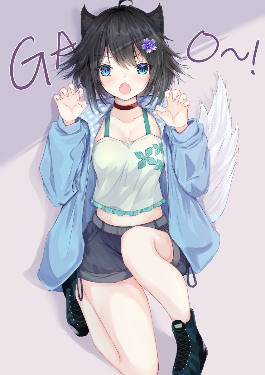 1girl :o absurdres ahoge animal_ear_fluff animal_ears black_hair blue_boots blue_eyes blue_jacket blush boots camisole choker claw_pose commentary_request fang female_focus fingernails flower gao grey_shorts hair_between_eyes hair_flower hair_ornament hands_up highres jacket kei_(limitedgirl) lace-up_boots long_sleeves looking_at_viewer nail_polish open_clothes open_jacket open_mouth original pink_nails puffy_long_sleeves puffy_sleeves purple_flower red_choker short_shorts shorts solo tail white_camisole