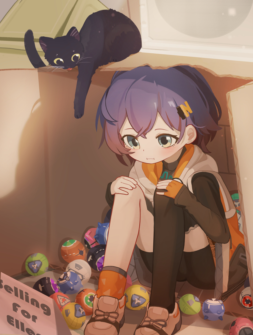 1girl :i absurdres aged_down asymmetrical_legwear belle_(zenless_zone_zero) black_cat black_shorts black_thighhighs blush box cat child closed_mouth commentary commentary_request english_commentary english_text green_eyes hair_ornament hands_on_own_knees highres in_box in_container knees_up letter_hair_ornament mismatched_legwear nanachides orange_socks purple_hair shoes short_hair shorts single_thighhigh sitting sneakers socks solo thighhighs uneven_legwear white_shoes zenless_zone_zero