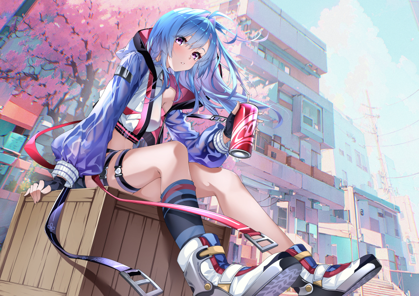 1girl a_raku absurdres alternate_costume azur_lane black_gloves black_shorts blue_hair blue_jacket blush breasts can casual cherry_blossoms coca-cola commission cropped_jacket day drink_can expressionless fingerless_gloves from_below full_body gloves hair_between_eyes hand_up helena_(azur_lane) highres holding holding_can hood hooded_jacket jacket kneehighs leaning_forward long_hair looking_at_viewer looking_down medium_breasts navel open_clothes open_jacket outdoors parted_lips purple_eyes short_shorts shorts single_bare_leg single_kneehigh single_sock sitting socks solo thigh_strap very_long_hair