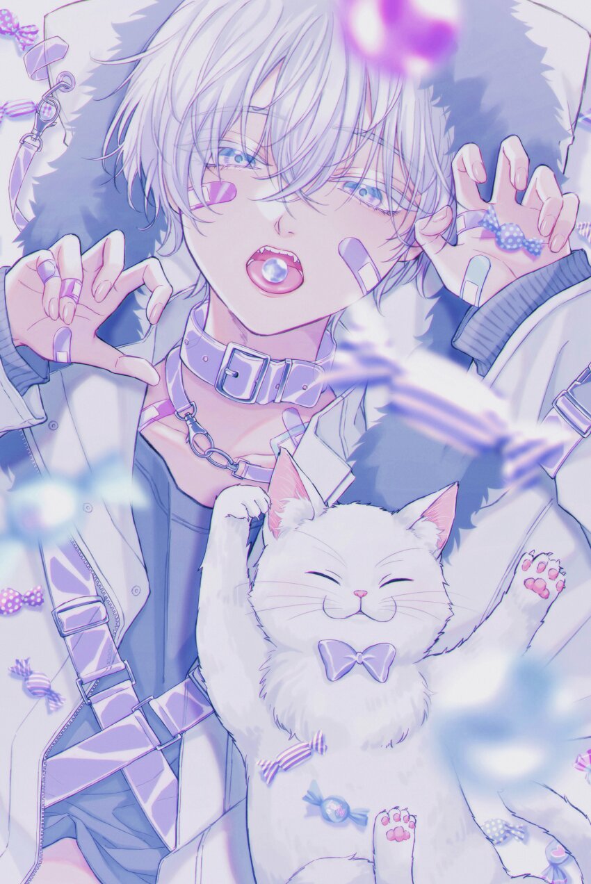 1boy absurdres bandaid bandaid_on_face bandaid_on_hand bandaid_on_neck belt black_shirt bow candy cat choker colored_eyelashes fang food food_in_mouth fur-trimmed_jacket fur_trim highres jacket jewelry looking_at_viewer male_focus moxamog necklace nose open_mouth original shirt simple_background teeth tongue tongue_out white_background white_cat white_choker white_eyelashes white_eyes white_hair white_jacket