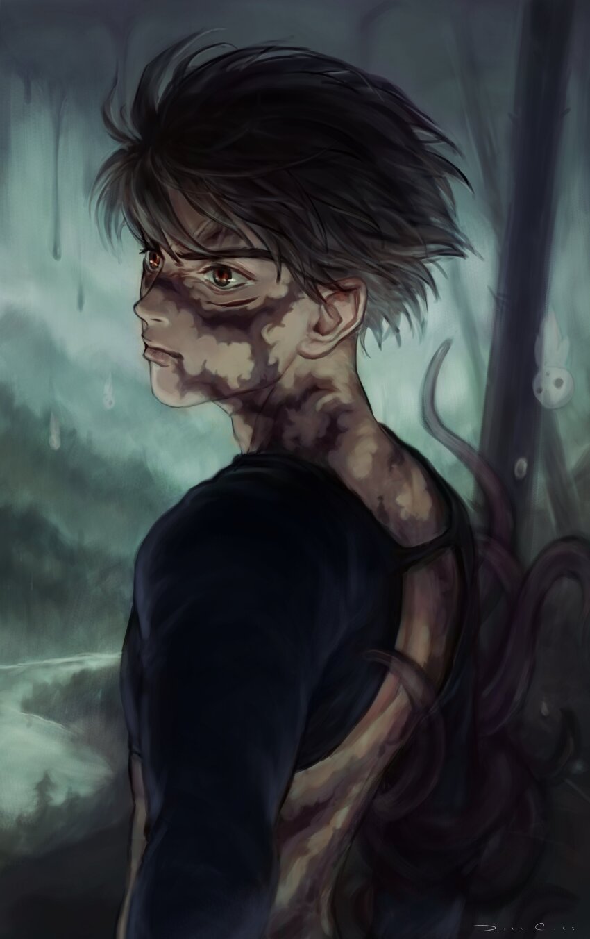 1boy absurdres ashitaka back black_hair brown_eyes brown_hair closed_mouth cloud cloudy_sky darkcore2943 falling highres kodama long_sleeves looking_ahead making-of_available male_focus mononoke_hime scar scar_on_face short_hair signature sky solo upper_body