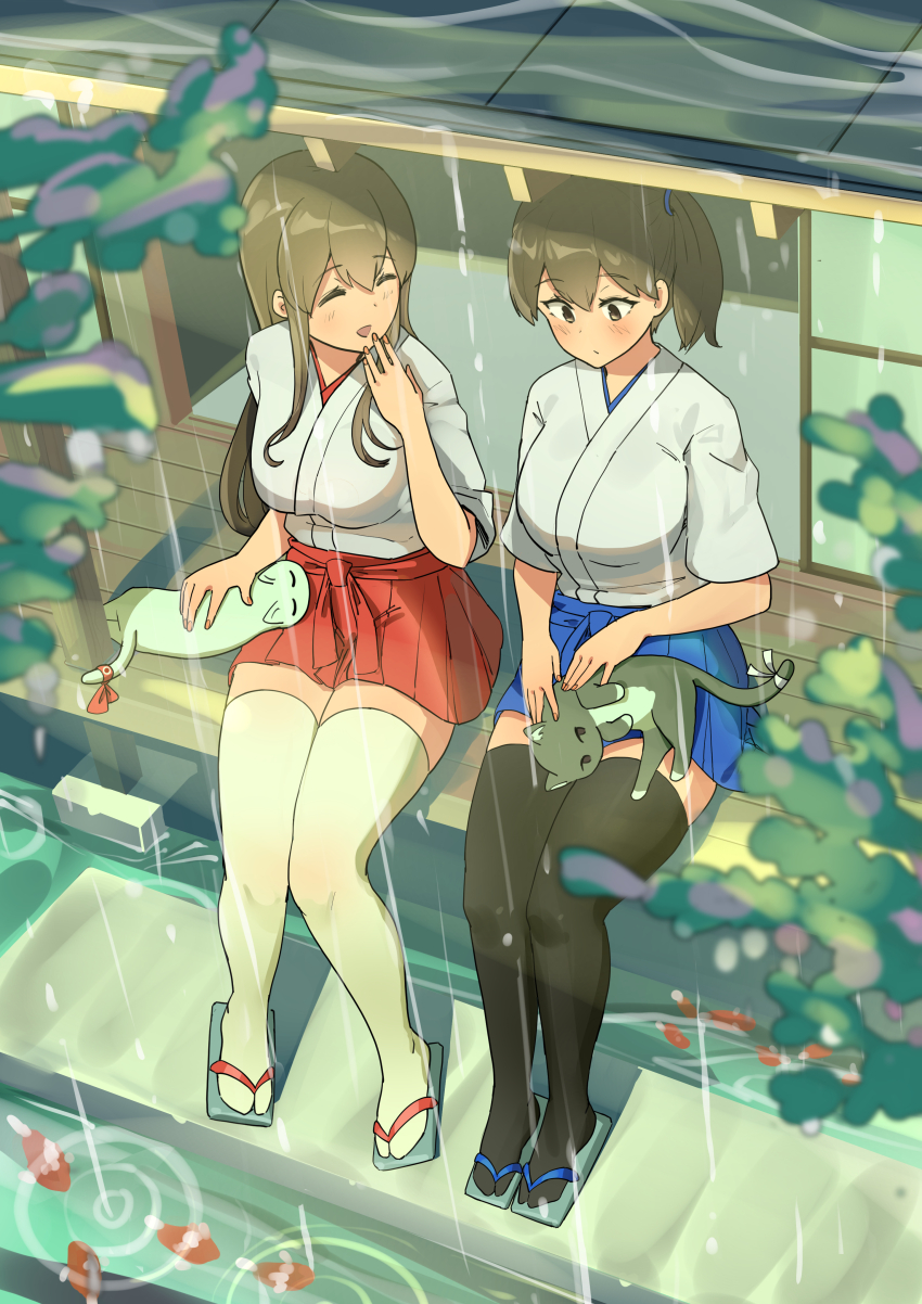 2girls absurdres akagi_(kancolle) animal animal_on_lap architecture black_cat black_thighhighs blue_hakama blush breasts brown_eyes brown_hair building cat cat_on_lap closed_eyes commentary_request day east_asian_architecture fish floor from_above geta hair_between_eyes hair_ornament hair_over_shoulder hakama hakama_skirt highres japanese_clothes kaga_(kancolle) kantai_collection kimono knees_together_feet_apart koi large_breasts leaf legs_together long_hair looking_at_animal looking_at_another multicolored_fur multiple_girls on_floor on_lap osananajimi_neko outdoors patting pleated_skirt pond ponytail rain red_hakama red_ribbon ribbon ripples rooftop sandals short_kimono shouji side_ponytail sitting skirt sliding_doors swept_bangs tail tail_ornament tail_ribbon terrace thighhighs tile_roof water water_drop white_cat white_kimono white_ribbon white_thighhighs wooden_floor zouri