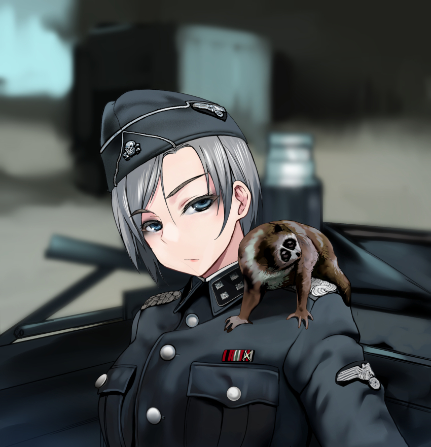 1girl :/ animal closed_mouth collar_tabs garrison_cap grey_eyes grey_hair hat hat_ornament highres jacket lemur looking_at_viewer military military_hat military_jacket military_uniform nazi original reichsadler samazuka_mashiro short_hair skull_hat_ornament solo totenkopf