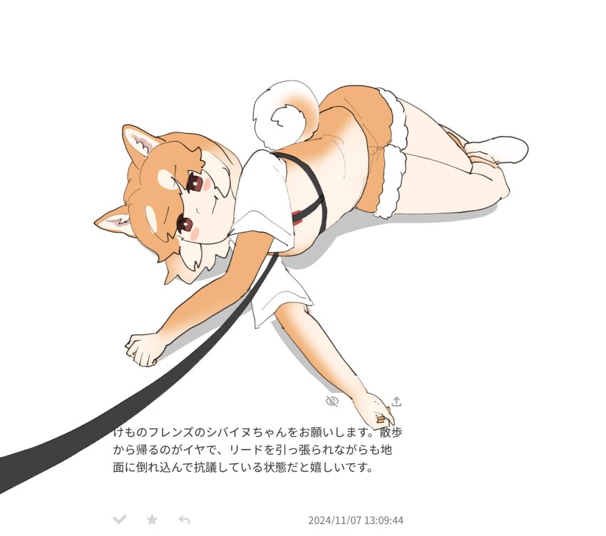 1girl :t animal_ears blush brown_eyes brown_gloves brown_hair brown_shorts brown_socks brown_vest chicha_(chi_cha_rigbo) dog_(shiba_inu)_(kemono_friends) dog_ears dog_girl dog_tail elbow_gloves fur_trim gloves hair_between_eyes harness highres kemono_friends leash lying multicolored_hair on_ground on_side shirt short_hair short_shorts shorts sidelocks socks solo t-shirt tail translation_request vest white_fur white_hair white_shirt white_sneakers