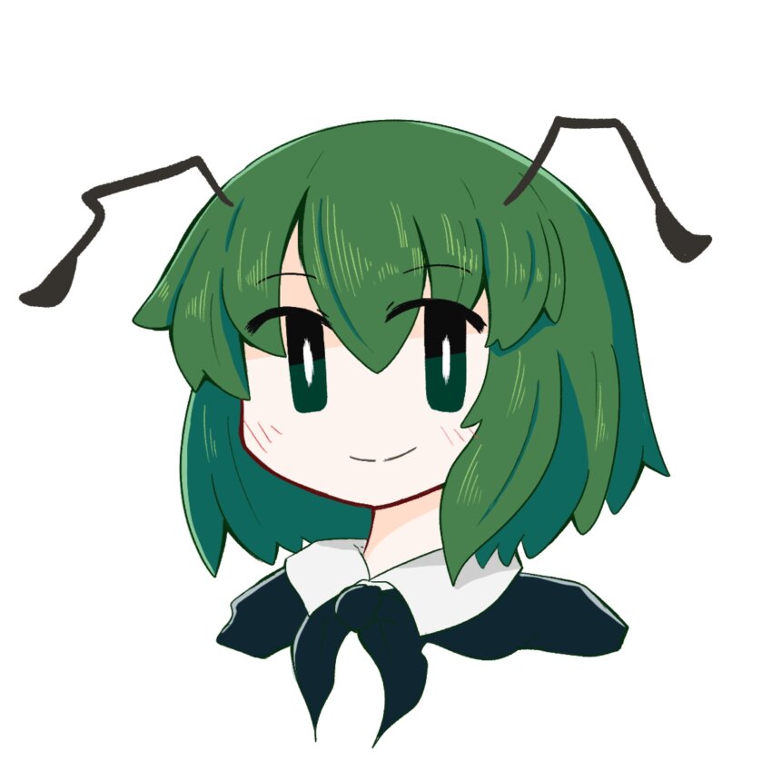 1girl antennae black_cape blush bright_pupils cape commentary cropped_torso green_eyes green_hair highres looking_at_viewer nazuka_pix short_hair simple_background smile solo touhou white_background white_pupils wriggle_nightbug