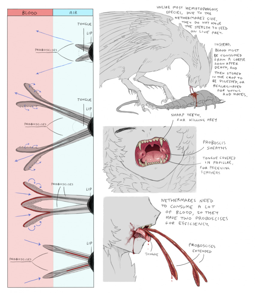 anatomy biology blood blood_from_mouth bug closed_eyes corpse diagram dragon eating harpy highres information_sheet jejejunum monster monster_girl nethermare original proboscis sharp_teeth teeth