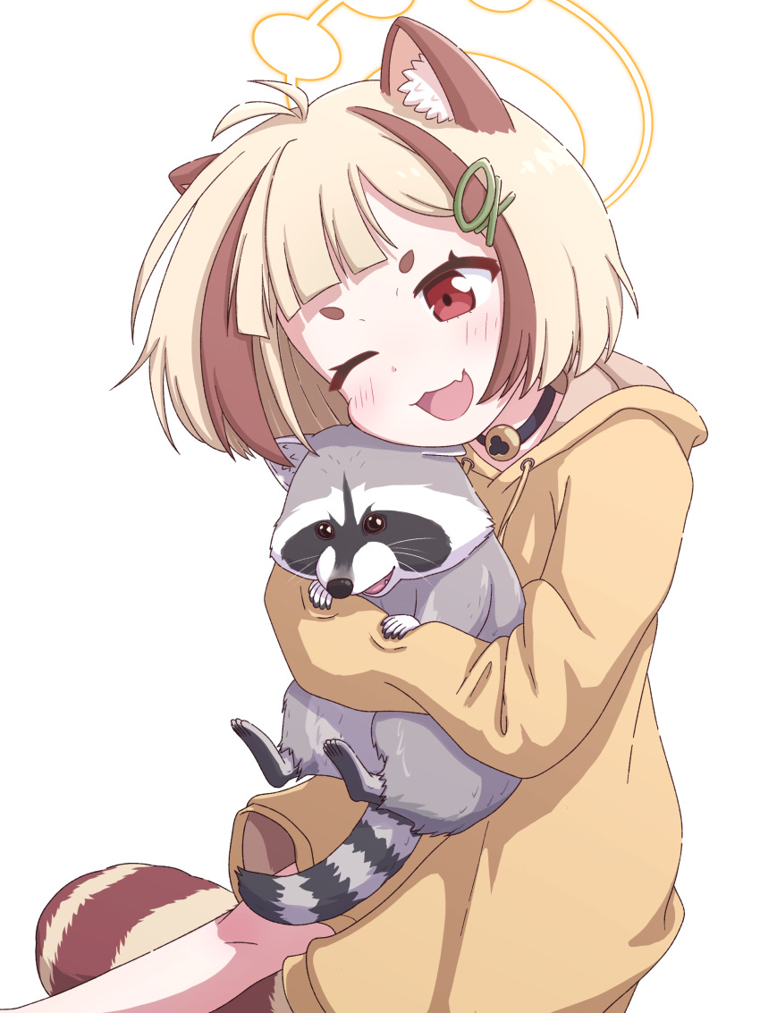 1girl ;d absurdres alternate_costume animal animal_ear_fluff animal_ears animal_hug antenna_hair arata_(blue_archive) black_choker blue_archive blush casual choker commentary_request cowboy_shot fang hair_ornament hairclip halo happy highres hood hood_down hoodie long_sleeves mugisepa one_eye_closed open_mouth raccoon raccoon_ears raccoon_girl raccoon_tail red_eyes short_eyebrows simple_background skin_fang smile solo tail thick_eyebrows white_background yellow_halo yellow_hoodie