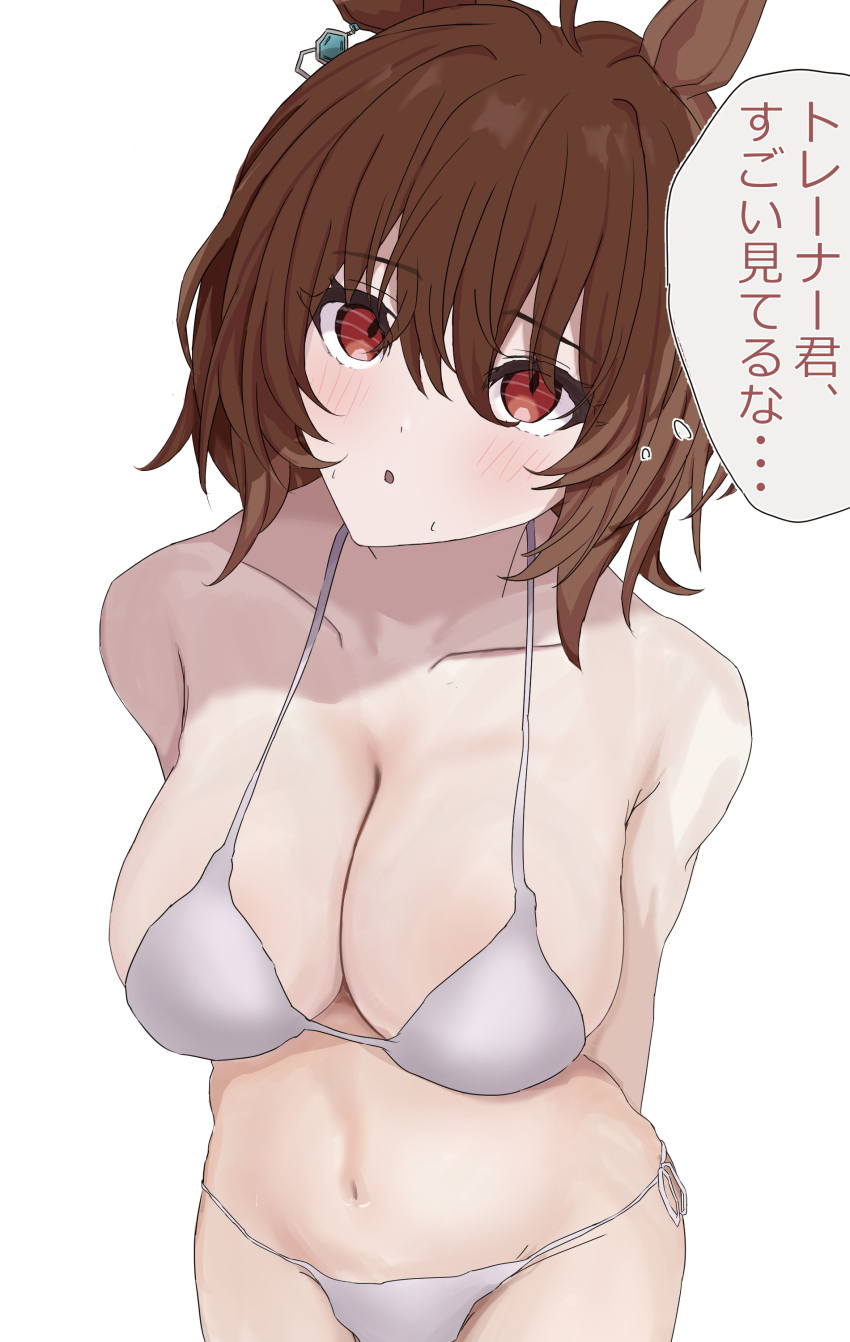 1girl absurdres agnes_tachyon_(umamusume) ahoge animal_ears bare_shoulders bikini breasts brown_hair chemical_structure collarbone earrings fgej8858 grey_bikini hair_between_eyes highres horse_ears horse_girl jewelry large_breasts medium_hair navel red_eyes simple_background single_earring solo speech_bubble swimsuit thought_bubble translation_request umamusume white_background