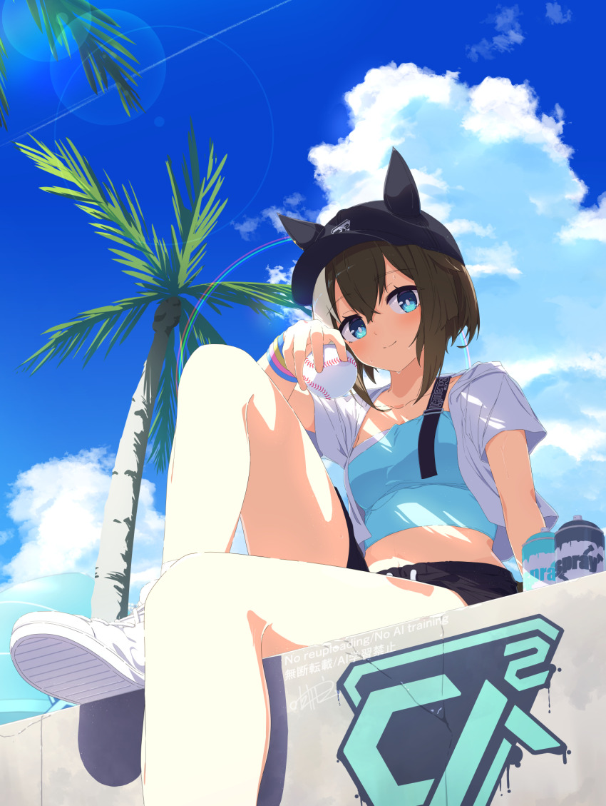 1girl animal_ears ball baseball baseball_cap black_hat black_shorts blue_eyes blue_shirt blue_sky bracelet breasts brown_hair cheval_grand_(umamusume) cloud cloudy_sky commentary_request cropped_shirt day ear_covers hair_between_eyes hat highres holding holding_ball horse_ears horse_girl jewelry knee_up lens_flare medium_breasts midriff multicolored_hair outdoors outside_border palm_tree sagen shirt shoes shorts sidelocks sitting sky sneakers solo spray_paint streaked_hair tree umamusume white_hair white_shoes