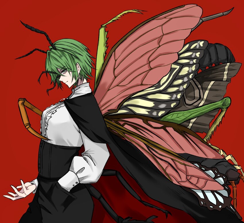 1girl :| abdomen_tail aged_up antennae arthropod_limbs black_cape black_pants butterfly_wings cape closed_mouth green_eyes green_hair highres insect_wings long_sleeves looking_at_viewer moth_wings multiple_wings nap_muntarou pants red_background shirt short_hair simple_background solo touhou two-sided_cape two-sided_fabric white_shirt wings wriggle_nightbug