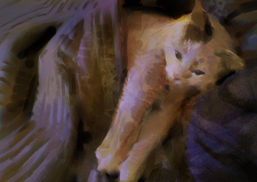 animal animal_focus cat highres no_humans orange_cat original painterly under_covers yuming_li