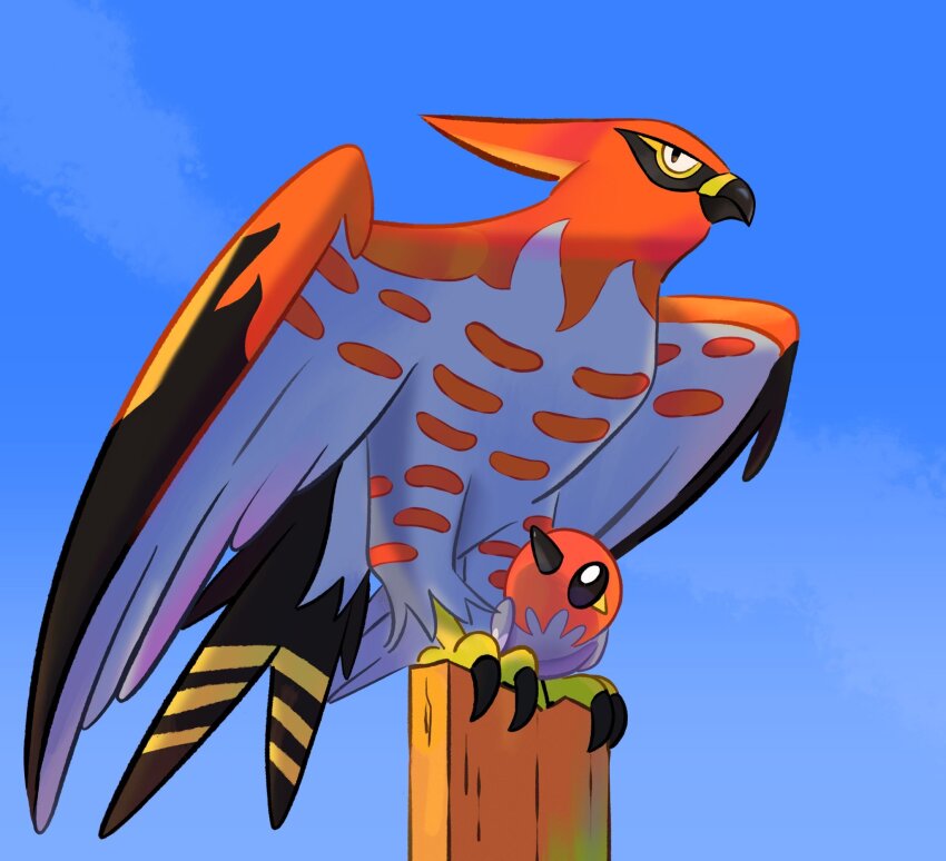beak bird blue_sky day fletchling gen_6_pokemon highres junebuns-art nintendo no_humans outdoors pokemon pokemon_(creature) sky talonflame talons