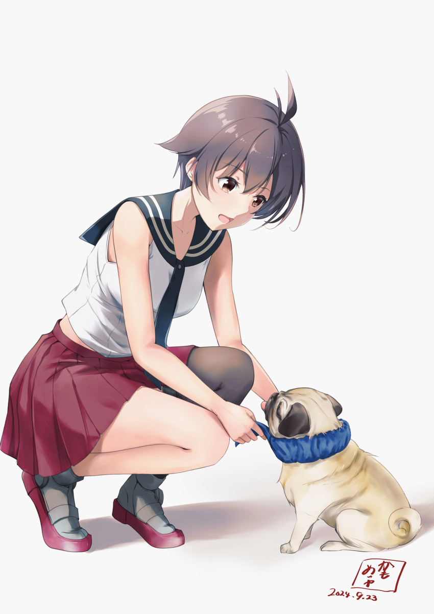 1girl absurdres animal antenna_hair black_thighhighs blue_sailor_collar breasts commentary_request commission dated dog grey_background hair_between_eyes highres kamo_mayor kantai_collection open_mouth pixiv_commission pleated_skirt pug purple_hair red_skirt sailor_collar sakawa_(kancolle) shoes short_hair signature simple_background single_thighhigh skirt sleeveless solo squatting thighhighs
