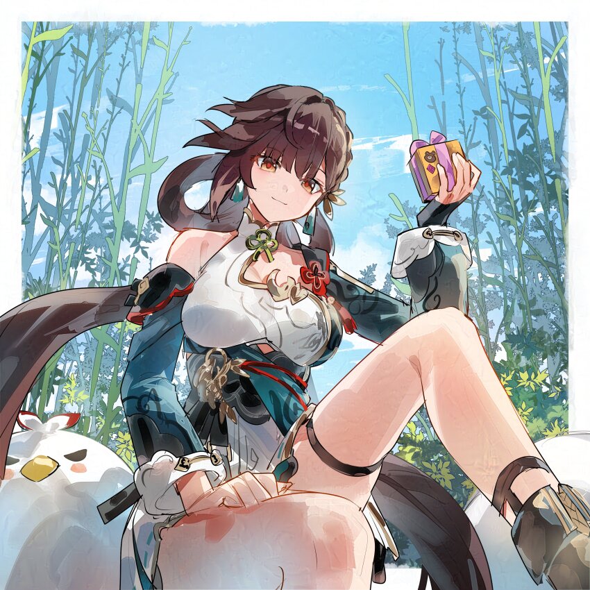 absurdres blue_sky border box breasts brown_eyes brown_hair chinese_clothes commentary detached_sleeves dress english_commentary gift gift_box grape_(grapedraws) green_dress highres holding holding_gift honkai_(series) honkai_impact_3rd jingwei_(bird) large_breasts li_sushang li_sushang_(peregrine_sword) long_hair outdoors second-party_source sitting sky smile thigh_strap thighs white_border